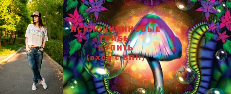 Галлюциногенные грибы Psilocybe  сколько стоит  Барнаул 